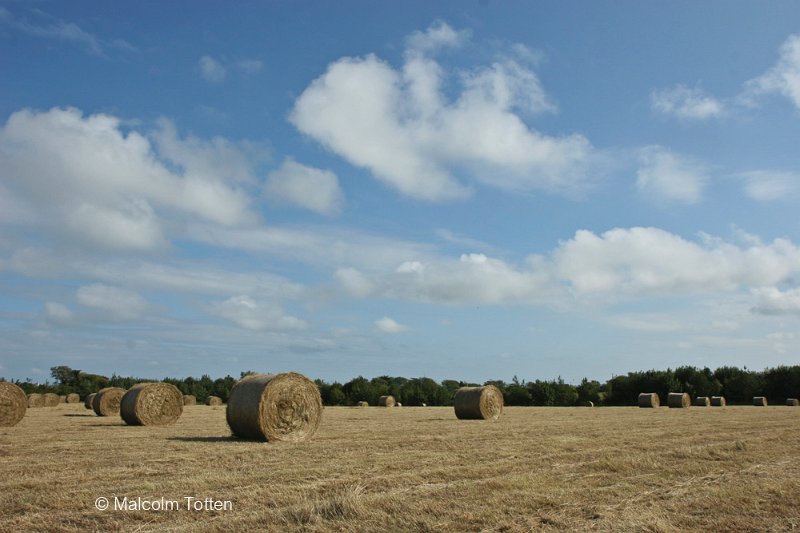 Round bales near Rosslare, Co. Wexford.jpg